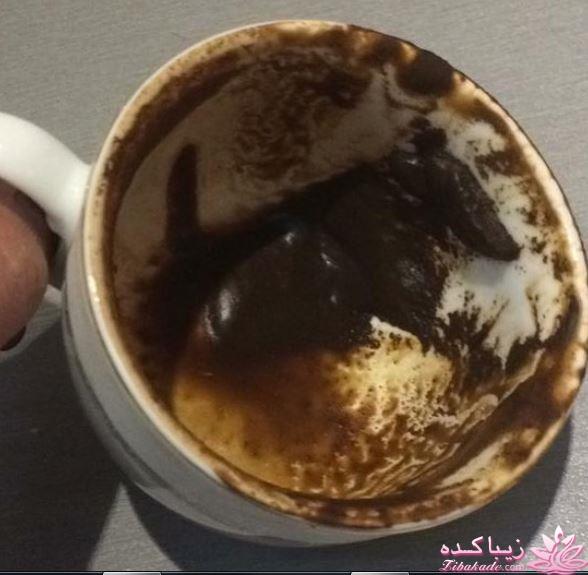 معانی فال قهوه 